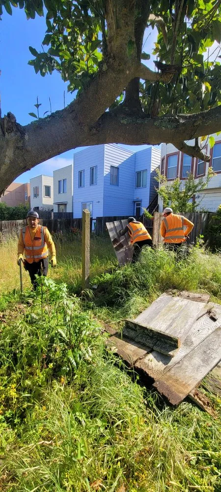 Expert outdoor landscaping with custom design across San Francisco, CA - Cardona Landscaping