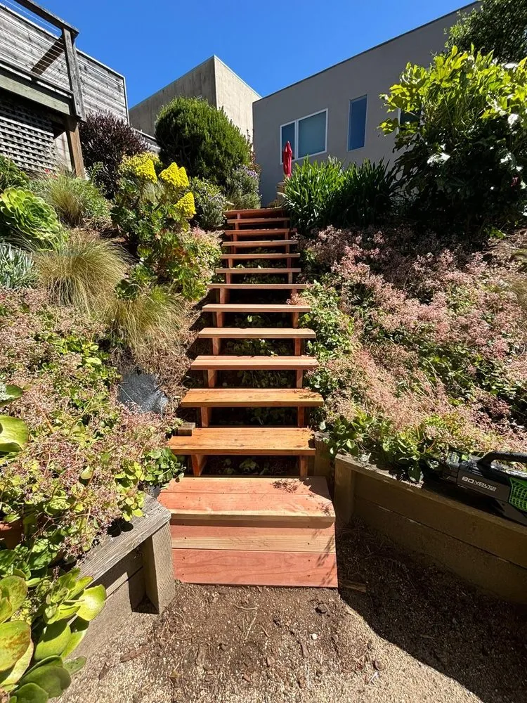 Expert lawn care service experts serving San Francisco, CA - Cardona Landscaping