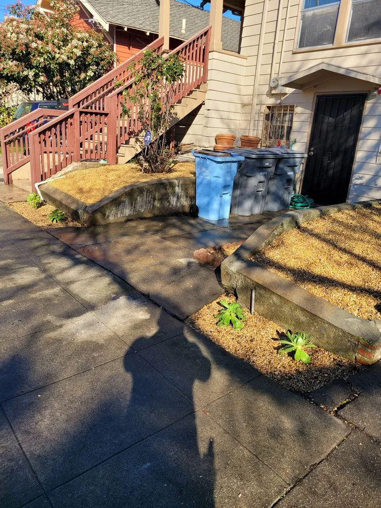 Trusted yard maintenance in San Francisco, CA by Cardona Landscaping