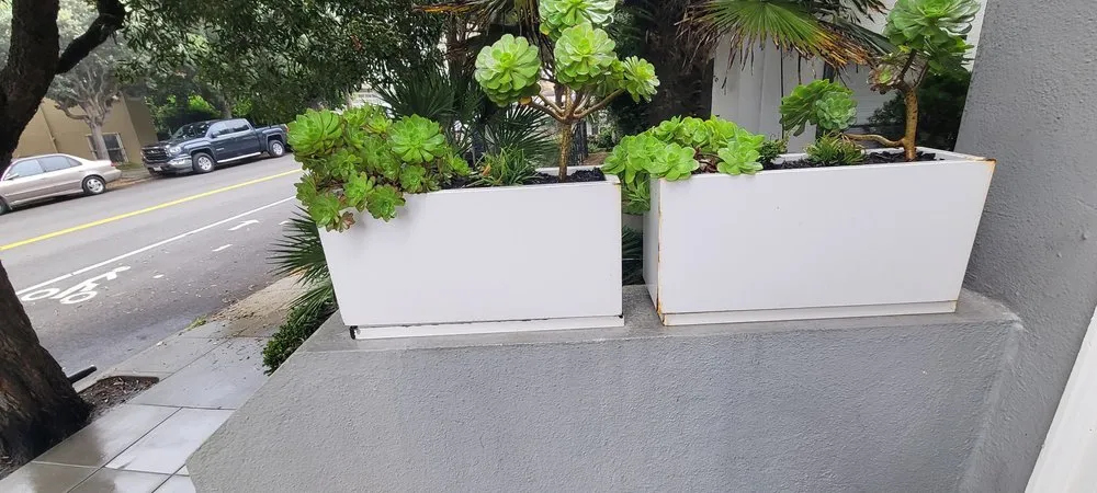 Expert lawn mowing service in San Francisco, CA by Cardona Landscaping