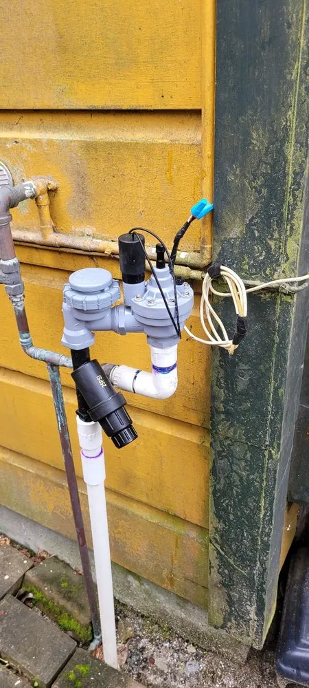 Affordable yard maintenance experts serving San Francisco, CA - Cardona Landscaping