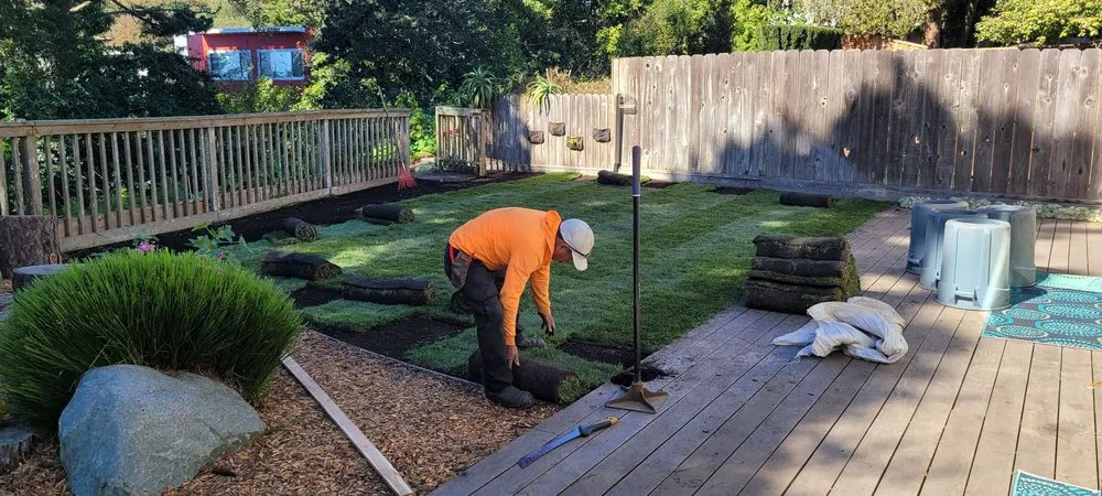 Reliable landscape design in San Francisco, CA - Cardona Landscaping