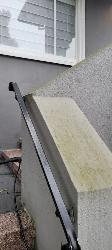 Professional yard maintenance in San Francisco, CA - Cardona Landscaping