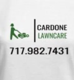 Custom outdoor landscaping in Harrisburg, PA - Cardone Lawncare