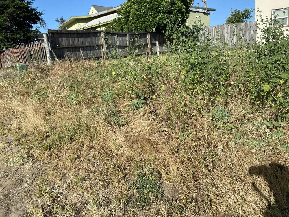 Custom landscape installation for outdoor upgrades across Delhi, CA - Cardo's Mowing