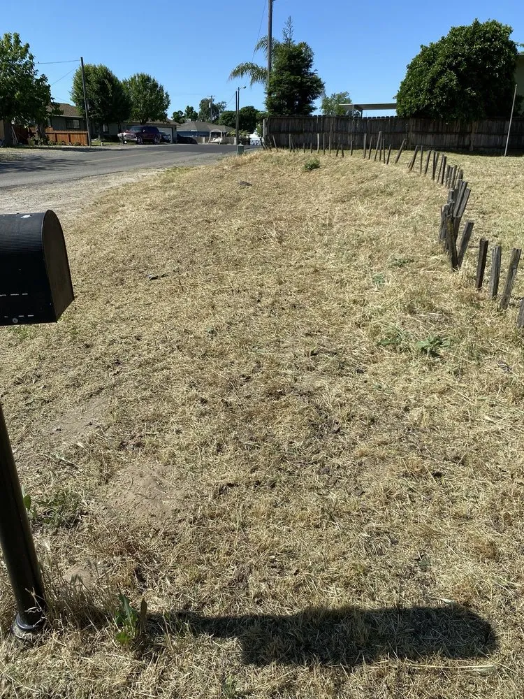 Top-rated landscaping services in Delhi, CA - Cardo's Mowing