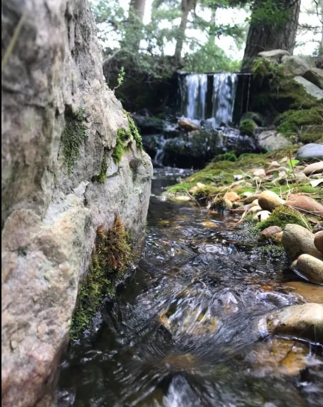 Custom outdoor landscaping in Newport News, VA - Cardoso Landscapes