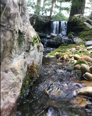 Cardoso Landscapes Logo