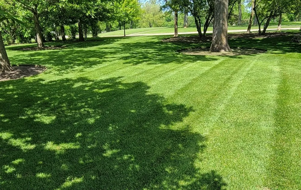 Professional landscaping services experts serving Elgin, IL - Cardoso Landscaping