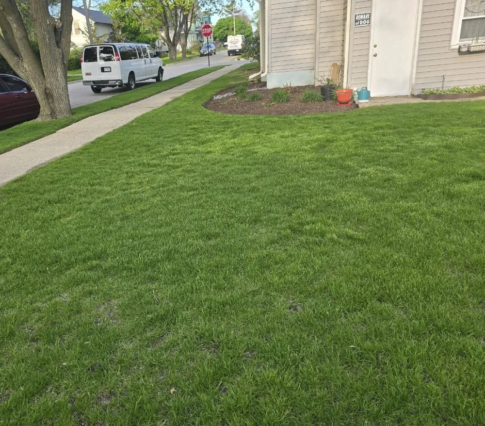 Expert yard maintenance experts serving Elgin, IL - Cardoso Landscaping