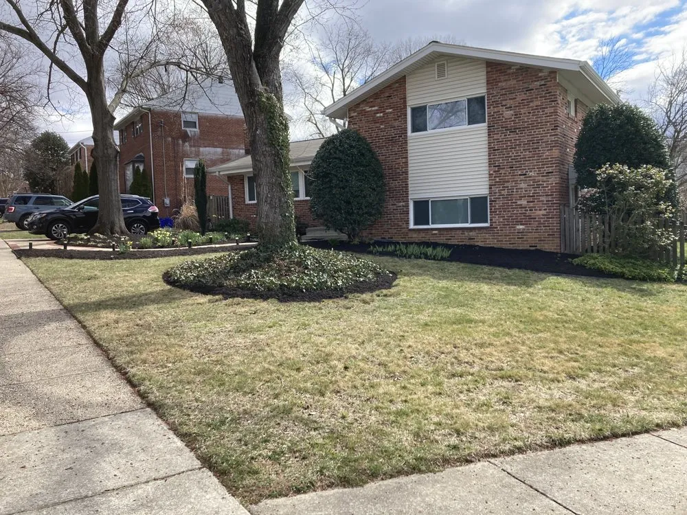 Reliable landscape installation experts serving Silver Spring, MD - Cardoso Landscaping