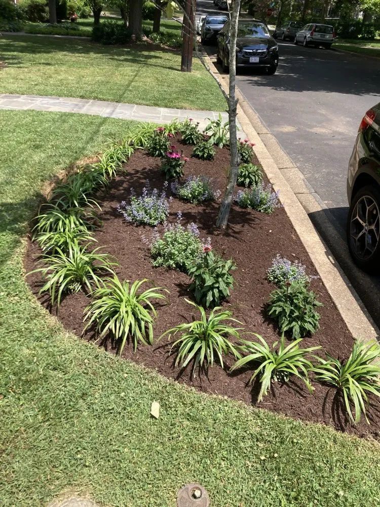 Local yard maintenance in Silver Spring, MD by Cardoso Landscaping