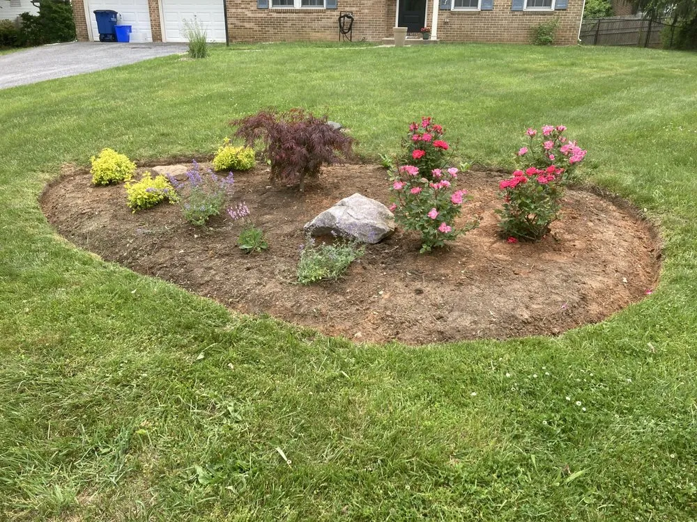 Expert residential landscaping for beautiful yards across Silver Spring, MD - Cardoso Landscaping