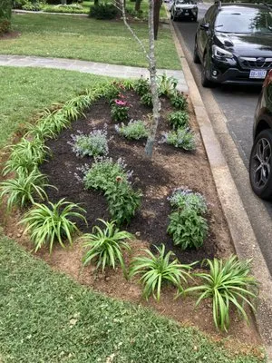 Cardoso Landscaping Logo