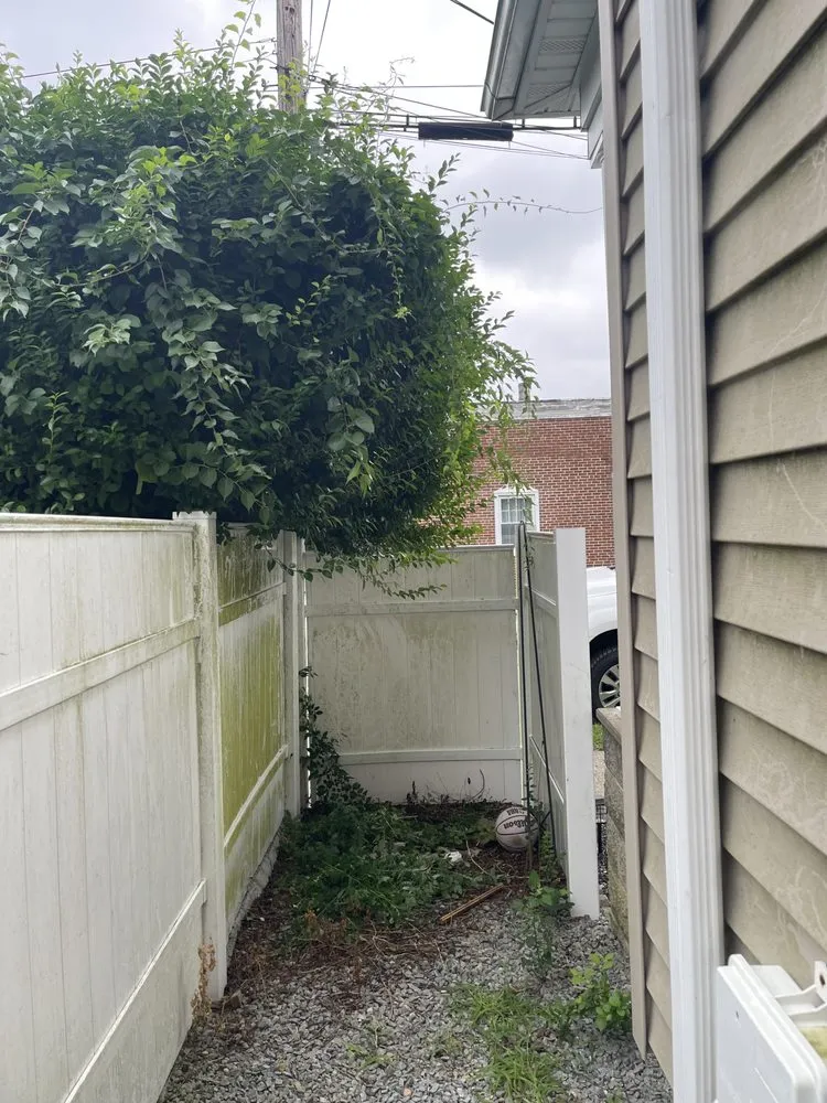 Affordable lawn care service experts serving New Bedford, MA - Cardoso’s Landscaping