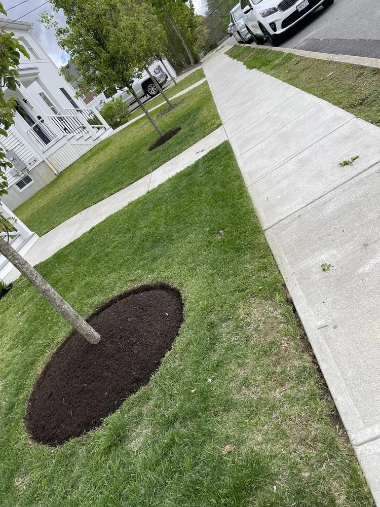 Custom yard cleanup service experts serving New Bedford, MA - Cardoso’s Landscaping