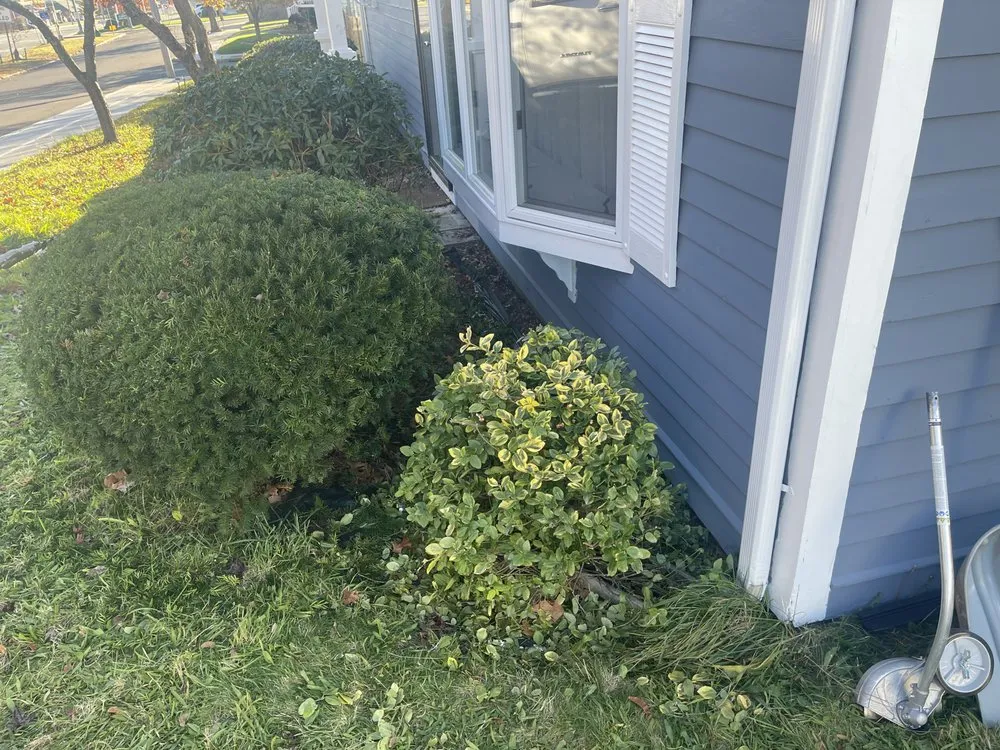 Trusted yard cleanup service experts serving New Bedford, MA - Cardoso’s Landscaping