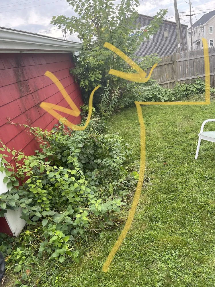 Top-rated yard maintenance in New Bedford, MA - Cardoso’s Landscaping