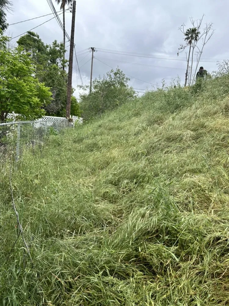 Trusted residential landscaping for outdoor upgrades in Riverside, CA by Cardoza Gardening and Landscaping