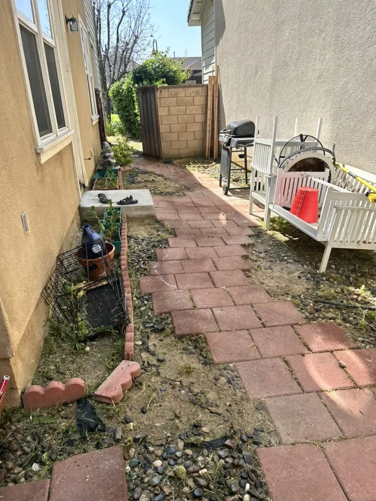 Reliable yard cleanup service for homes across Riverside, CA - Cardoza Gardening and Landscaping
