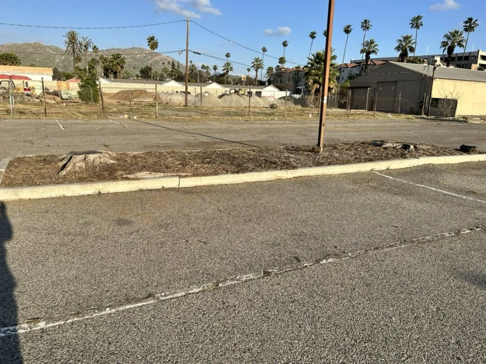 Expert landscape design in Riverside, CA by Cardoza Gardening and Landscaping