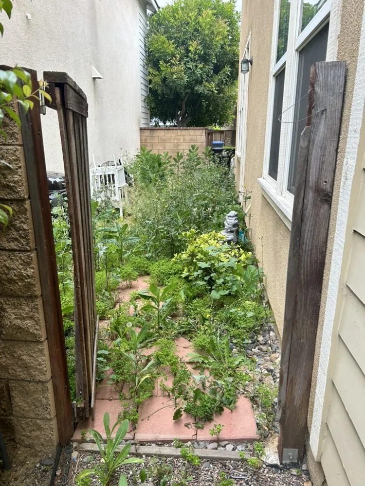 Local yard maintenance experts serving Riverside, CA - Cardoza Gardening and Landscaping