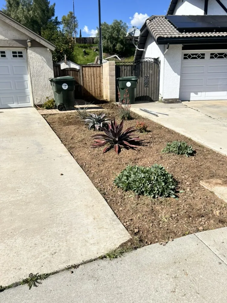 Affordable landscaping services experts serving Riverside, CA - Cardoza Gardening and Landscaping