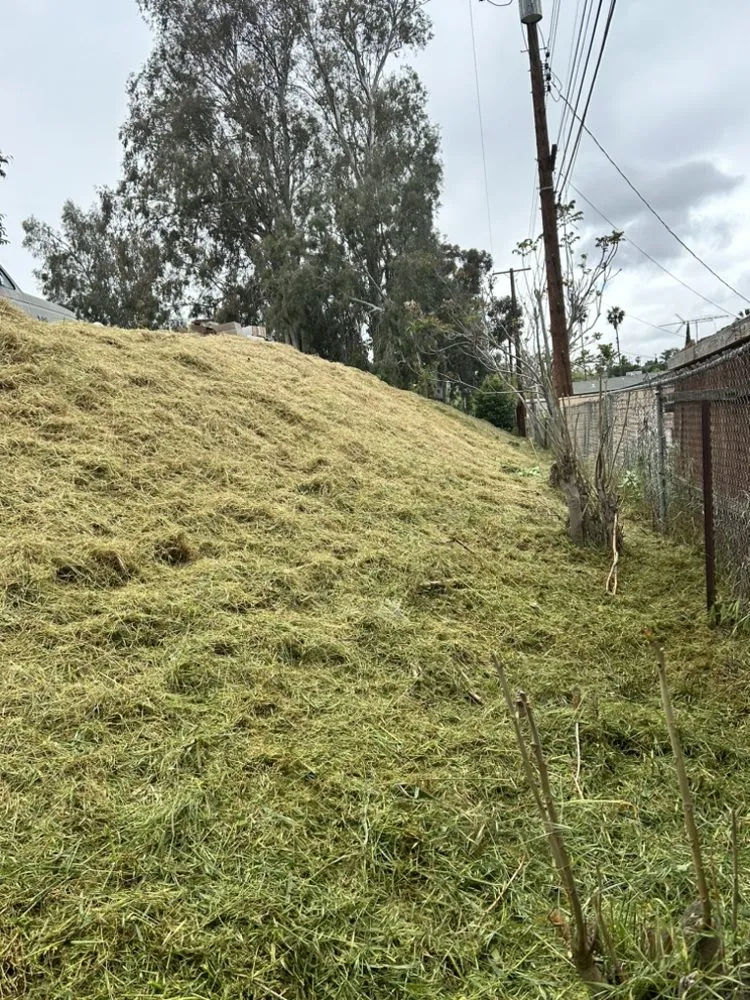 Affordable landscaping services in Riverside, CA - Cardoza Gardening and Landscaping