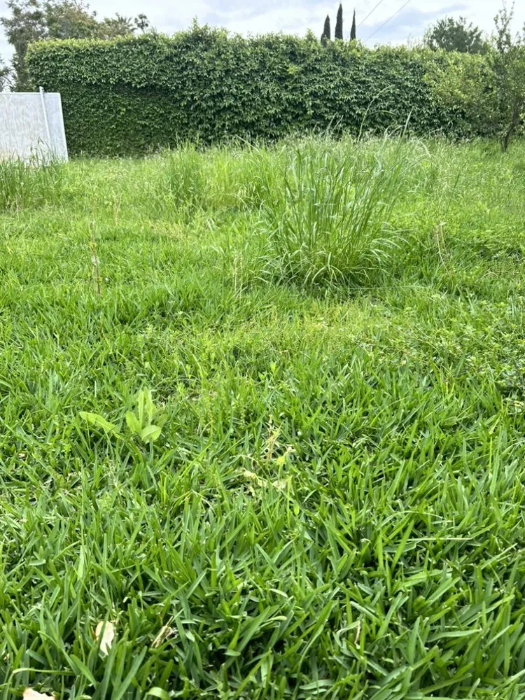 Affordable landscape design experts serving Riverside, CA - Cardoza Gardening and Landscaping