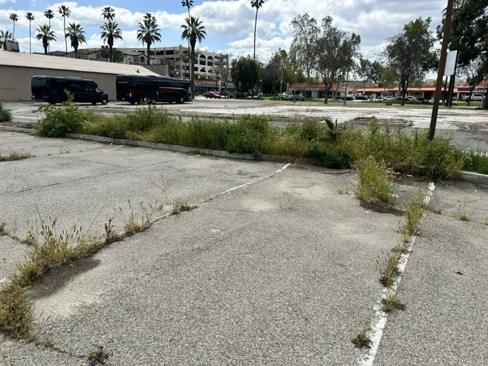 Professional residential landscaping in Riverside, CA - Cardoza Gardening and Landscaping