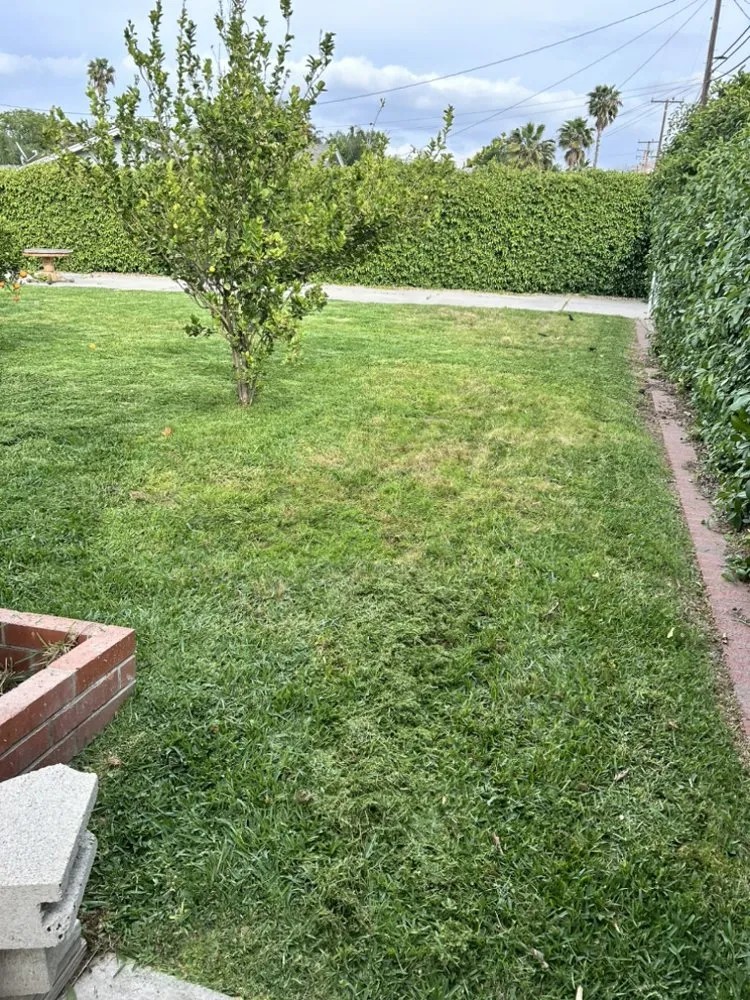 Professional landscape installation with custom design in Riverside, CA by Cardoza Gardening and Landscaping