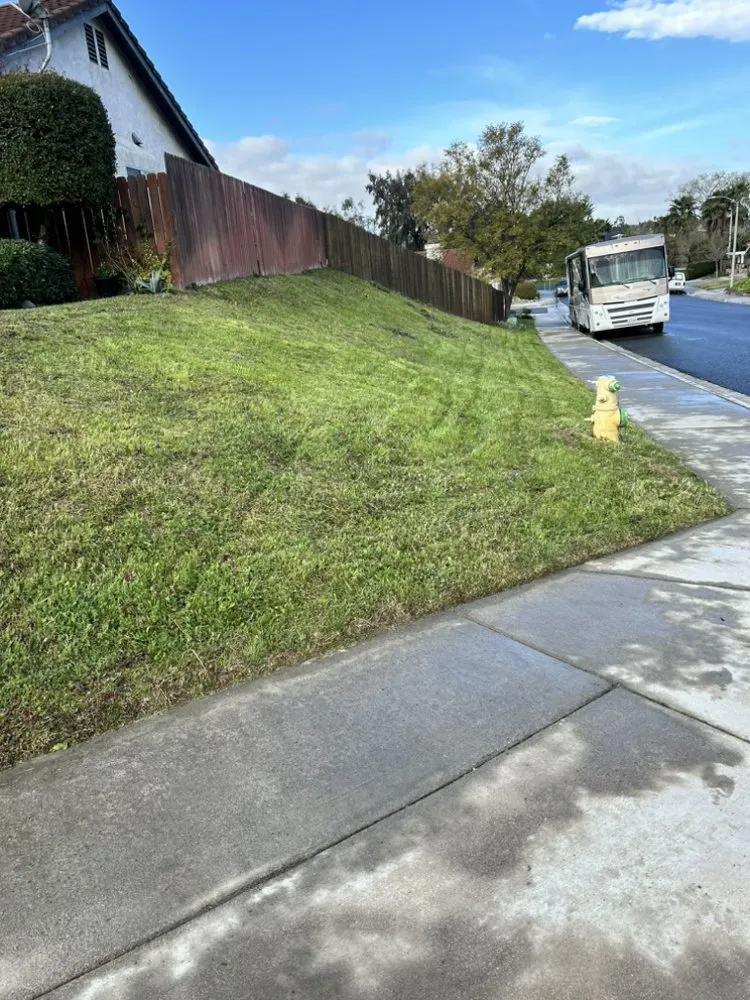 Professional lawn care service with custom design across Riverside, CA - Cardoza Gardening and Landscaping