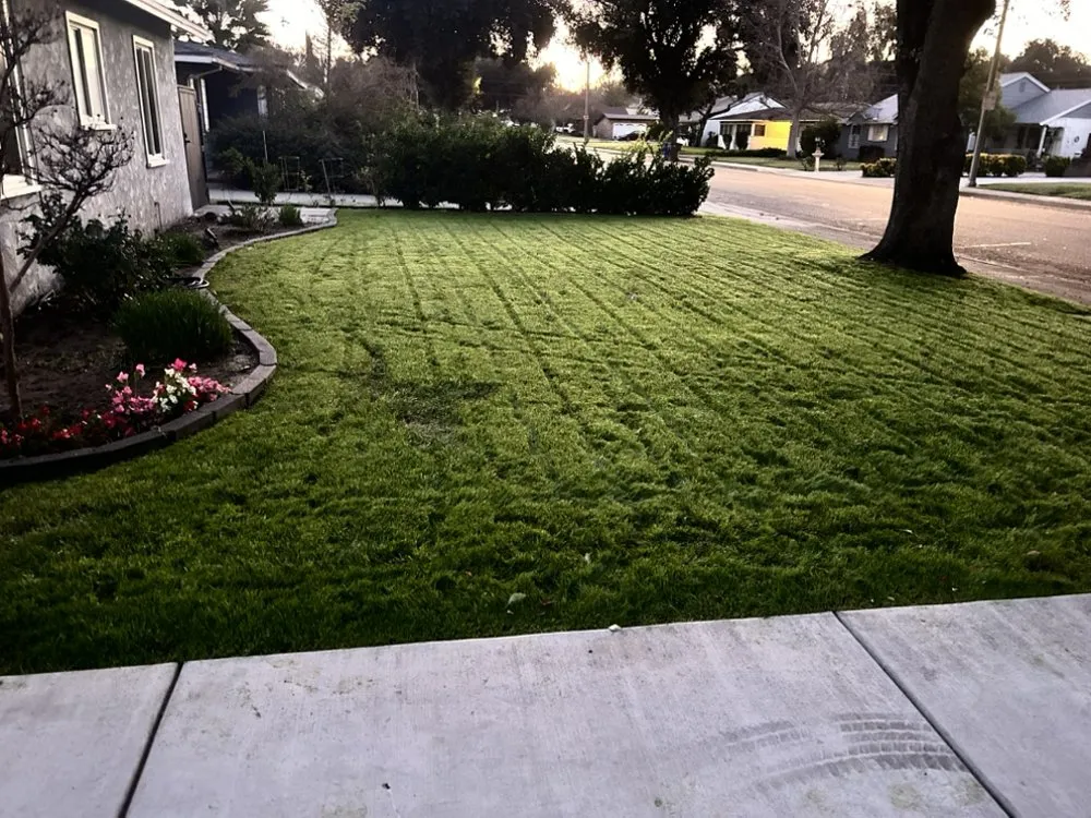 Trusted lawn mowing service in Riverside, CA - Cardoza Gardening and Landscaping