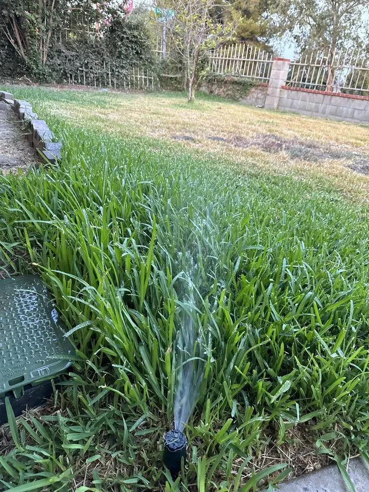 Custom residential landscaping experts serving Riverside, CA - Cardoza Gardening and Landscaping