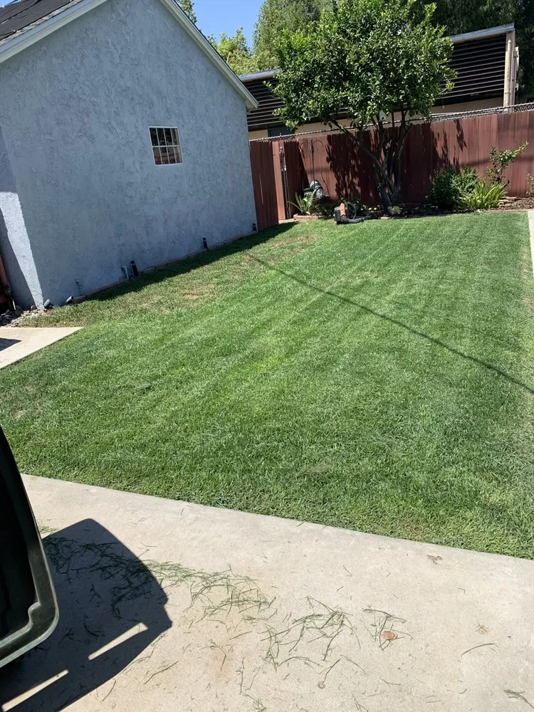 Top-rated outdoor landscaping in Riverside, CA by Cardoza Gardening and Landscaping