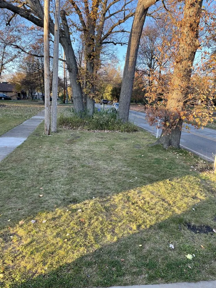 Trusted yard cleanup service in Grand Rapids, MI by Cardoza Lawn Care