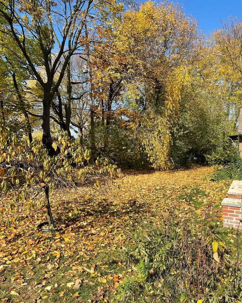 Top-rated yard maintenance for residential properties across Grand Rapids, MI - Cardoza Lawn Care