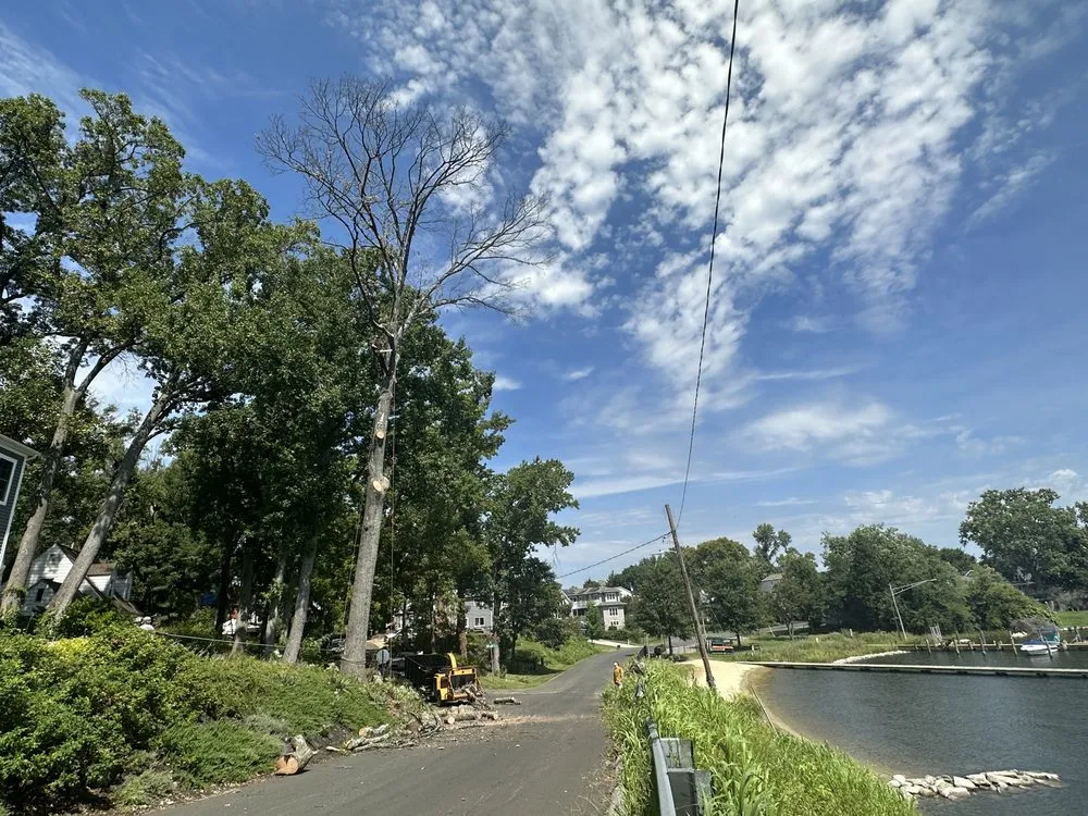 Reliable landscaping services for beautiful yards in Edgewater, MD by Cardoza Site Solutions