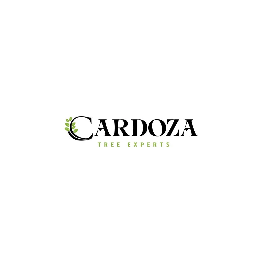 Custom lawn care service in Edgewater, MD by Cardoza Site Solutions