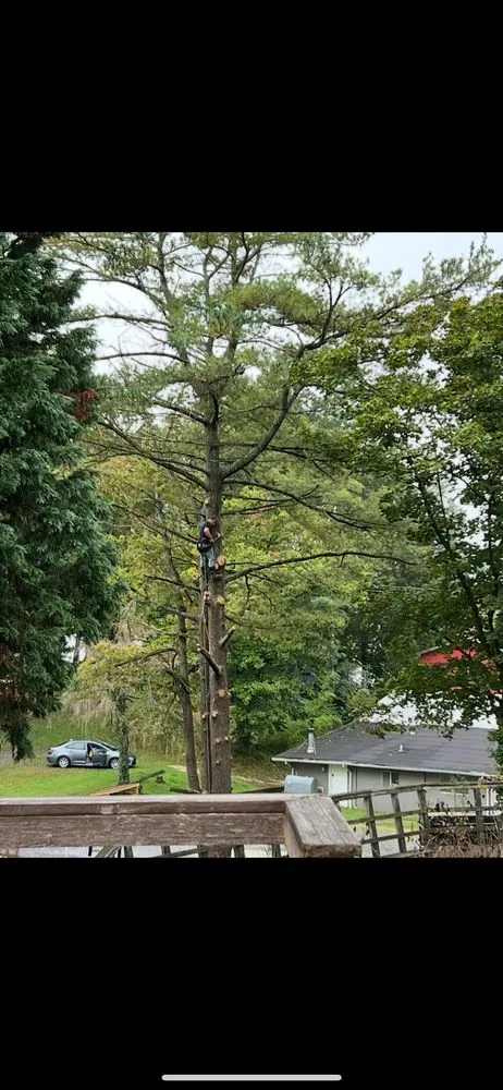 Local landscape installation in Edgewater, MD - Cardoza Site Solutions