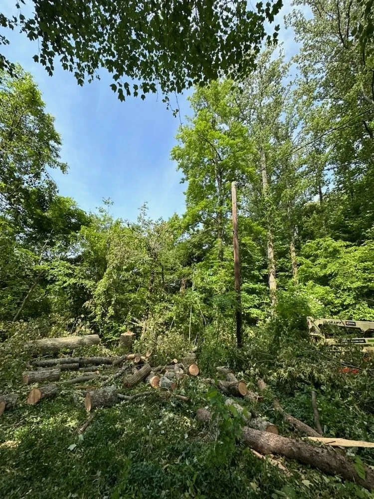 Professional garden landscaping experts serving Edgewater, MD - Cardoza Site Solutions