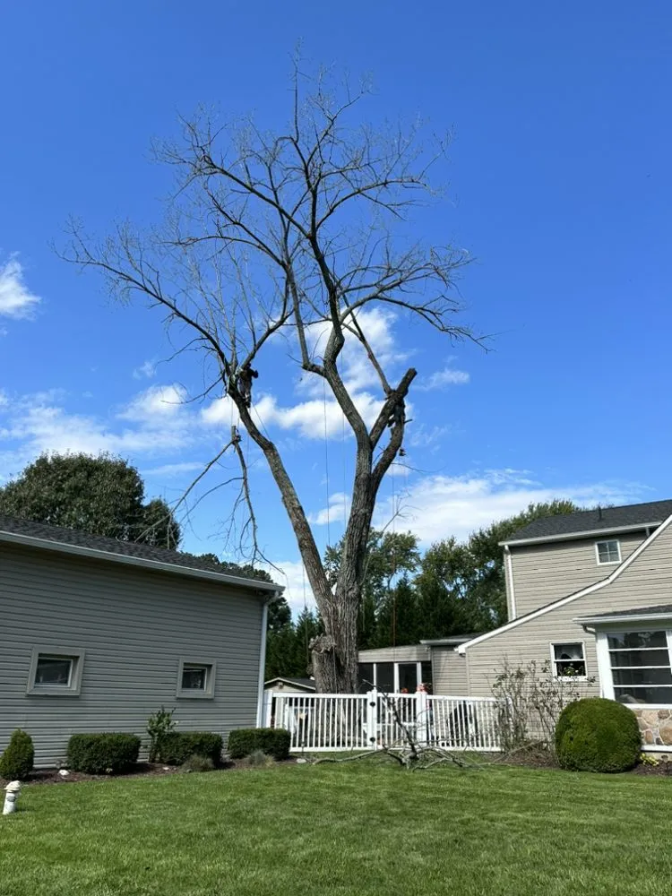 Local lawn mowing service for beautiful yards in Edgewater, MD by Cardoza Site Solutions