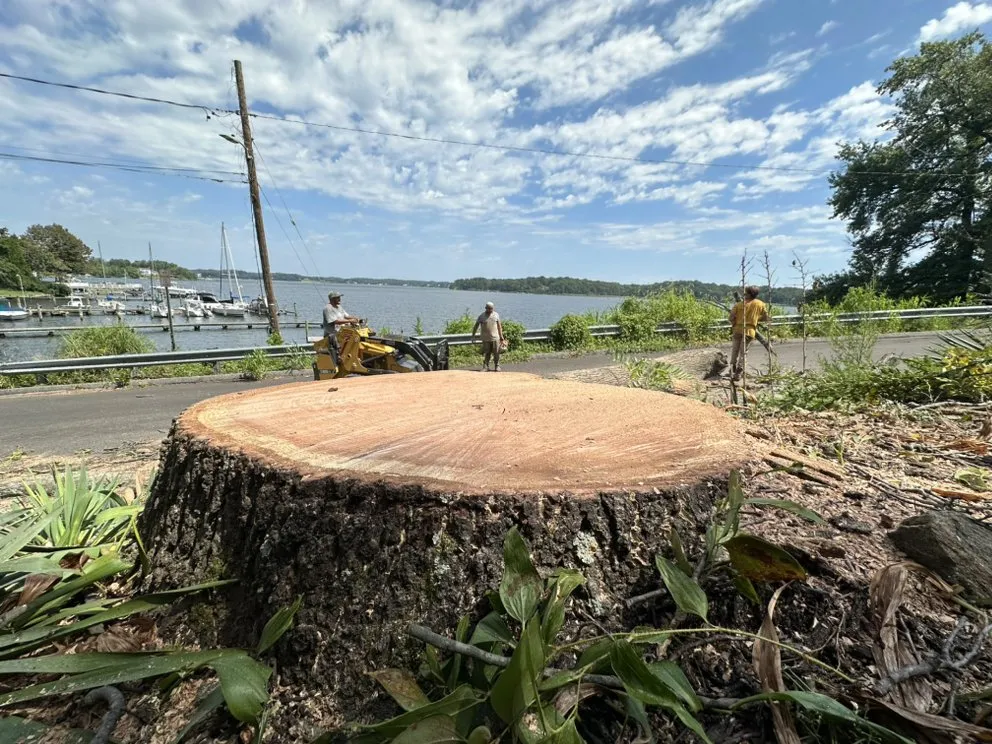 Reliable landscape design in Edgewater, MD - Cardoza Site Solutions