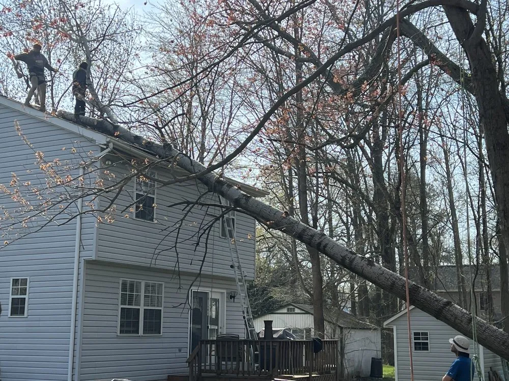 Top-rated garden landscaping in Edgewater, MD by Cardoza Site Solutions