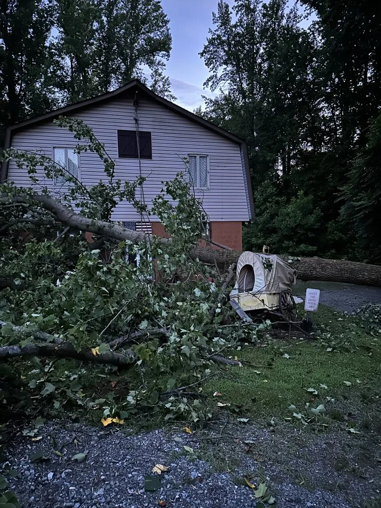 Local yard cleanup service for homes across Edgewater, MD - Cardoza Site Solutions