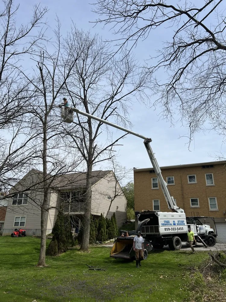 Affordable landscaping services in Erlanger, KY - Cardwell Tree & Landscape