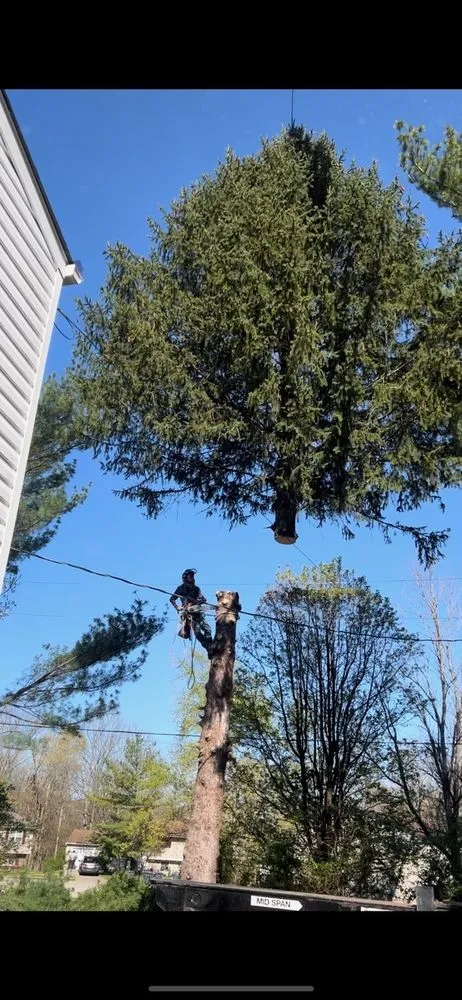 Trusted outdoor landscaping in Erlanger, KY by Cardwell Tree & Landscape