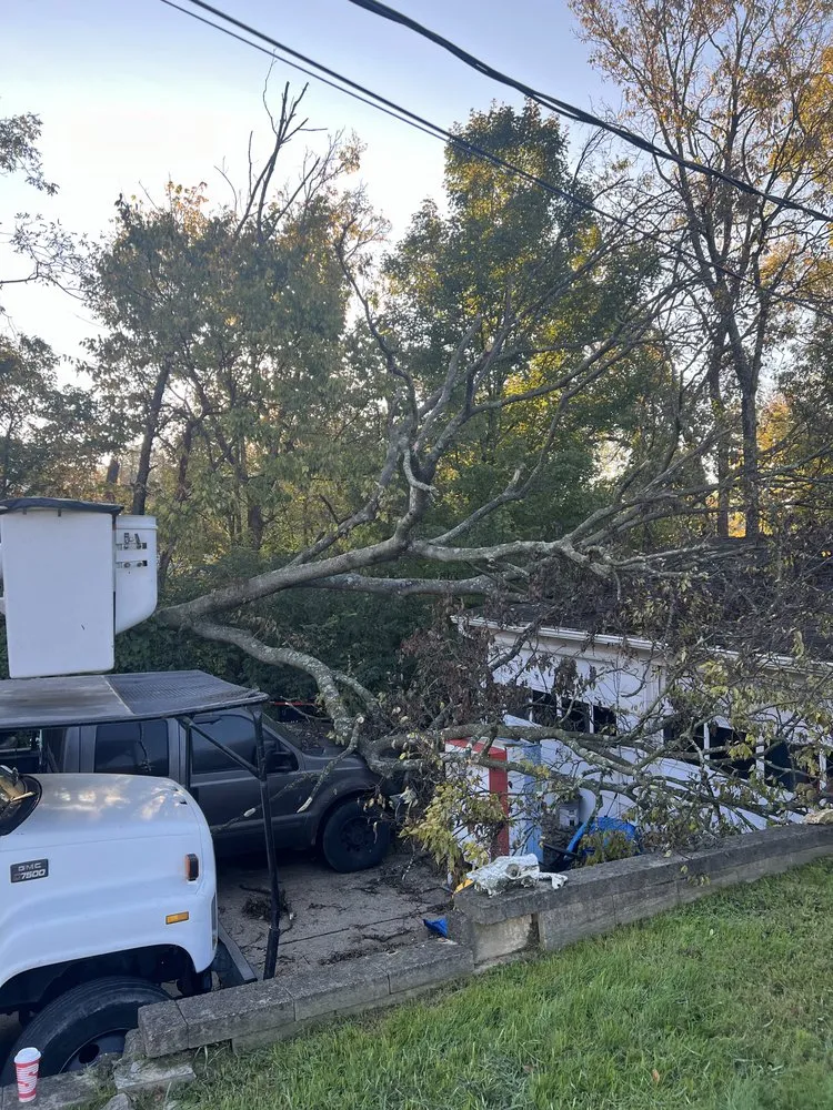 Professional landscaping services in Erlanger, KY - Cardwell Tree & Landscape