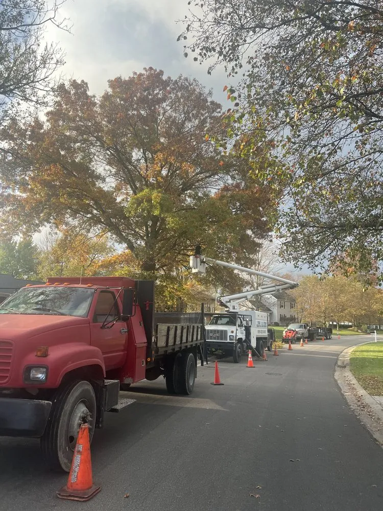 Expert yard maintenance with custom design across Erlanger, KY - Cardwell Tree & Landscape