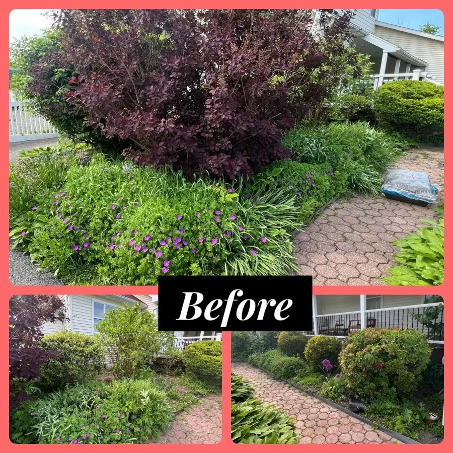 Professional outdoor landscaping in Olivebridge, NY - Care BnB Home Solutions